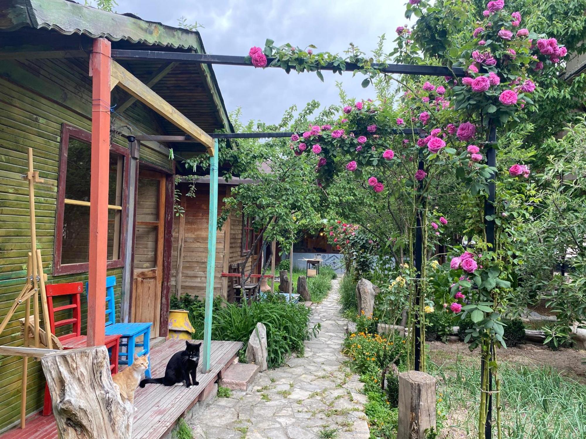 Philosophy Hotel Üçhisar Rum bild